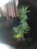 20140629_101435.jpg