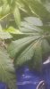 20151215_180617.jpg