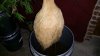 20151217_095542.jpg