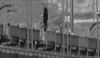 tumblr_mwdi8cMiWJ1shhb9so1_500.gif