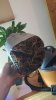 20151219_122453.jpg