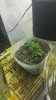 20151221_182516.jpg