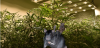 upload_2015-10-9_18-5-20.png upload_2015-10-9_18-5-20.png