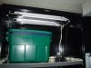 dsc00263.jpg