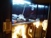 dsc00267.jpg