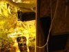 DSC05609.jpg