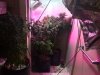IMG_1600.JPG
