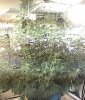 IMG_20160103_025345.jpg