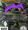 PurpleAurora_Back1-450x480.png PurpleAurora_Back1-450x480.png