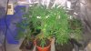 WP_20160105_001.jpg