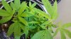 20160111_064940.jpg