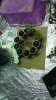 20151206_012135.jpg