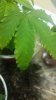 20151214_232625.jpg