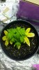 20151222_012813.jpg