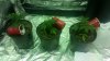 20160103_005041.jpg