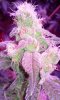 20160114_121725.jpg