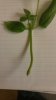 20160115_115604.jpg