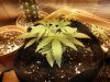20160116_052619.jpg