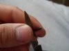 SDC12729.JPG