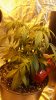 20160116_190613.jpg