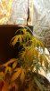 20160116_190633.jpg