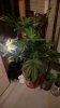 WP_20160109_16_10_41_Rich.jpg