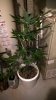 WP_20160109_16_10_50_Rich.jpg