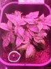 20160117_154501.jpg