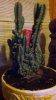 20160118_222640.jpg