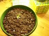 100_0316.jpg