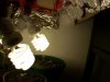 100_0319.jpg