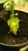 20160123_053724.jpg