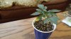 20160125_102556_resized.jpg 20160125_102556_resized.jpg
