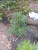 2015-07-06 20.06.37.jpg