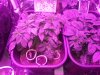 20160125_203048.jpg