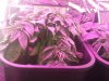 20160125_203009.jpg