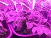 20160125_203024.jpg