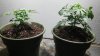 20160125_221640.jpg 20160125_221640.jpg