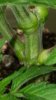 20160125_221551.jpg 20160125_221551.jpg