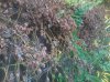 20151026_182309.jpg