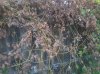 20151026_182254.jpg