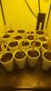 20160126_202429.jpg