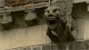 gargoyle  HEY.jpg