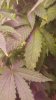 20160201_000514.jpg