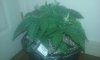 20160203_030940.jpg