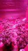 20160202_211829.jpg 20160202_211829.jpg