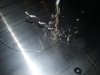 20160203_125927.jpg
