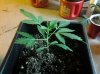 20160203_074003.jpg