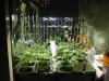 PlantPhotos 008.jpg