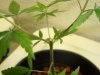 DSC00341.jpg